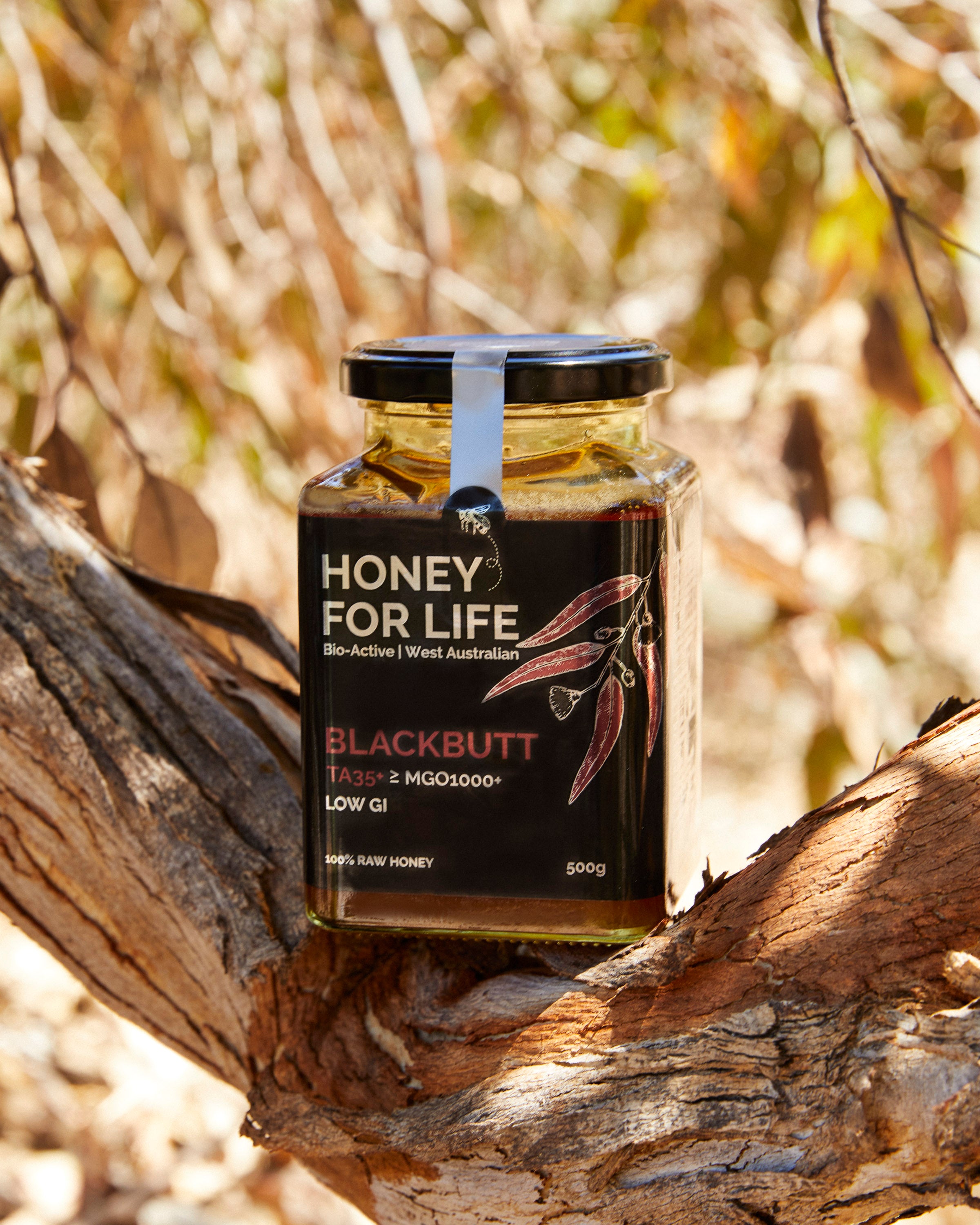Blackbutt Honey TA35+ | Bioactive WA Forest Honey – Honey For Life