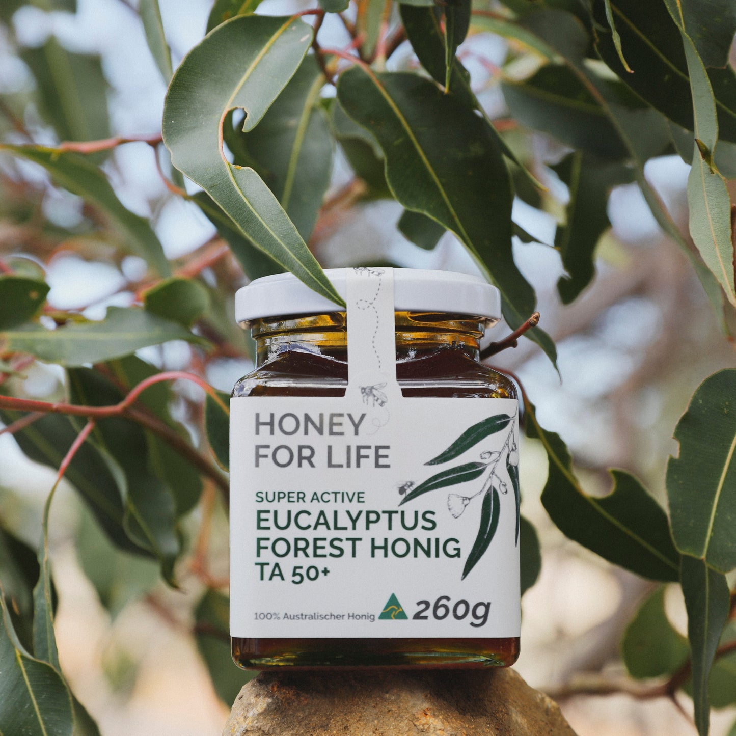 EUCALYPT FOREST HONIG TA50+ | SPECIAL