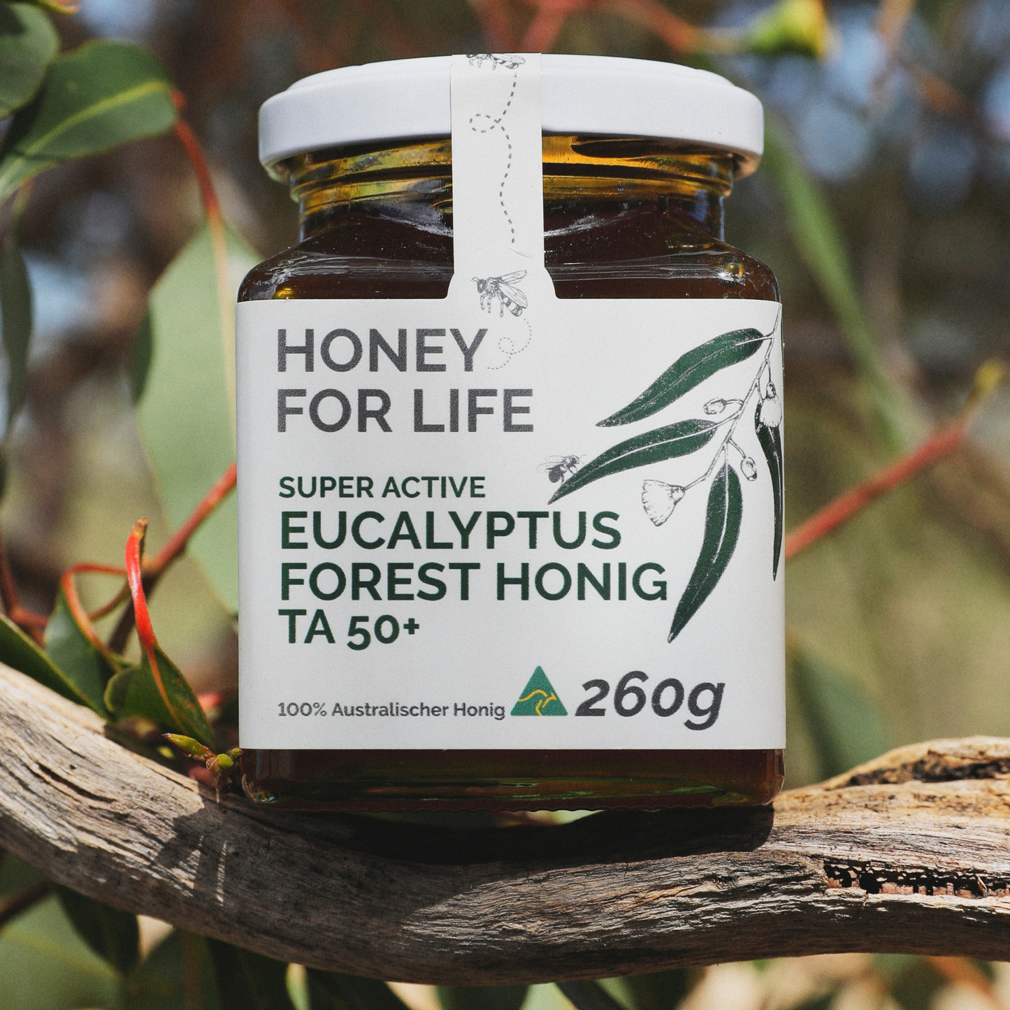 EUCALYPT FOREST HONIG TA50+ | SPECIAL