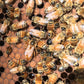 MATED QUEEN BEES - Presale For September Season