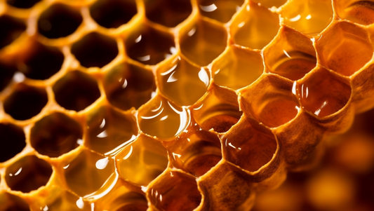 How Bees Make Honey: The Fascinating Process from Hive to Jar