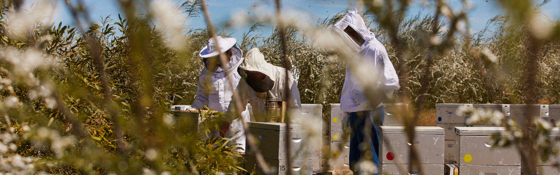 Behind the Label: How Honey For Life Ensures Quality You Can Trust