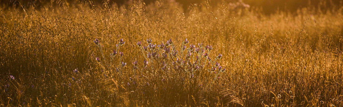 Why We’re Saying No to Black Friday