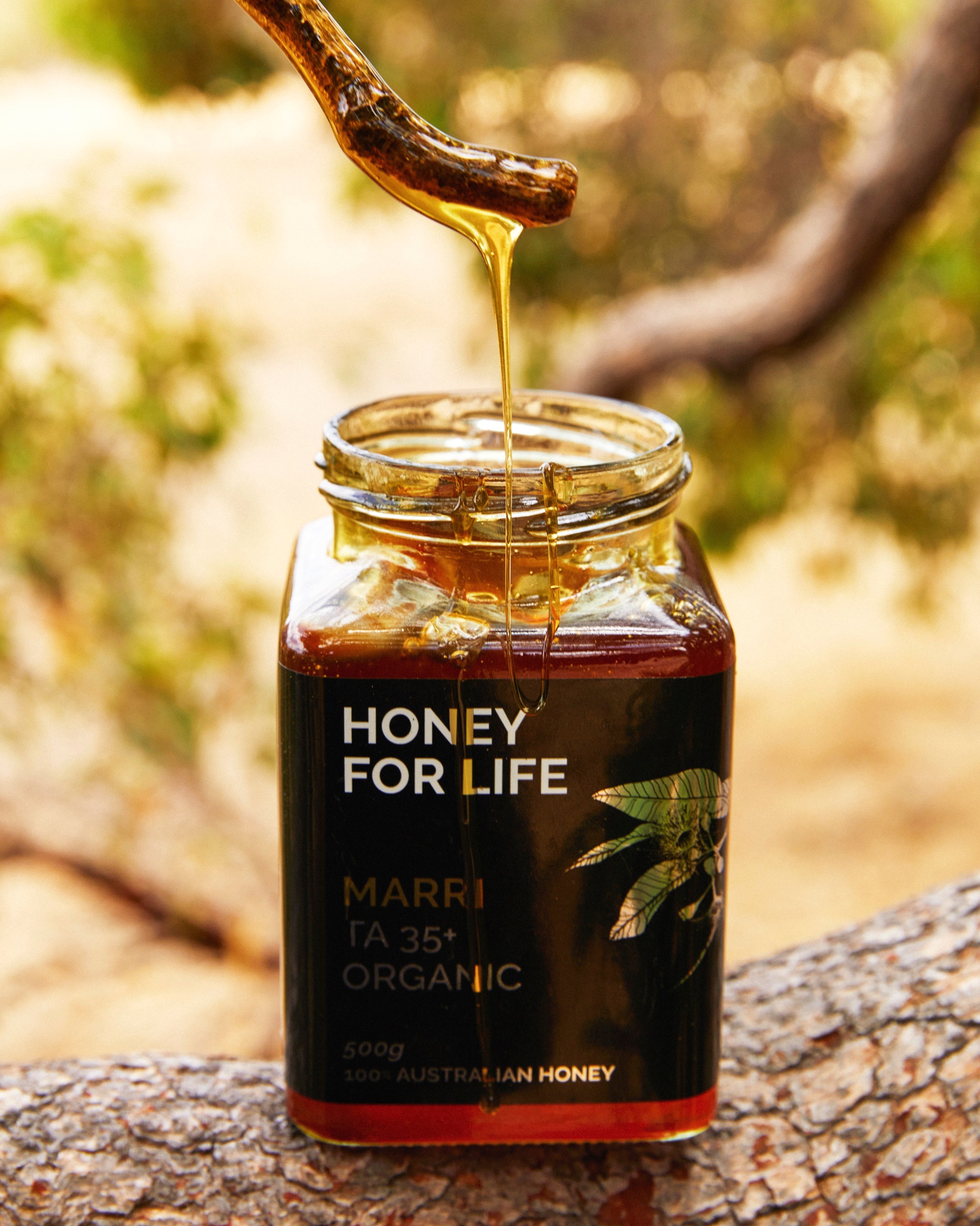 Batch 117 Karri TA33 Honey