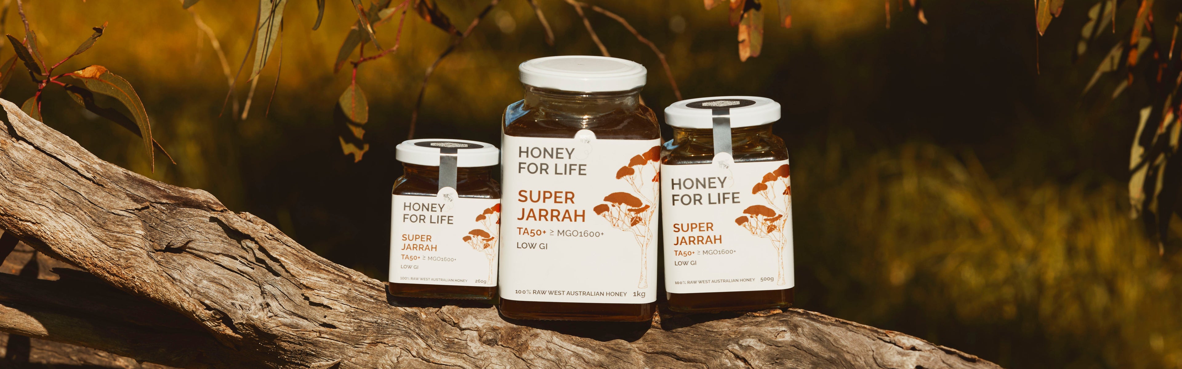 Jarrah Honey