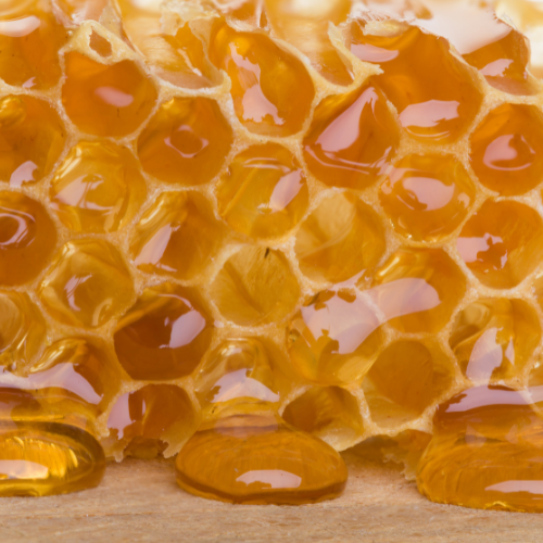 Honey For Healing: Customer Success Story
