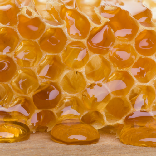 The Healing Power of Honey: A Customer Success Story