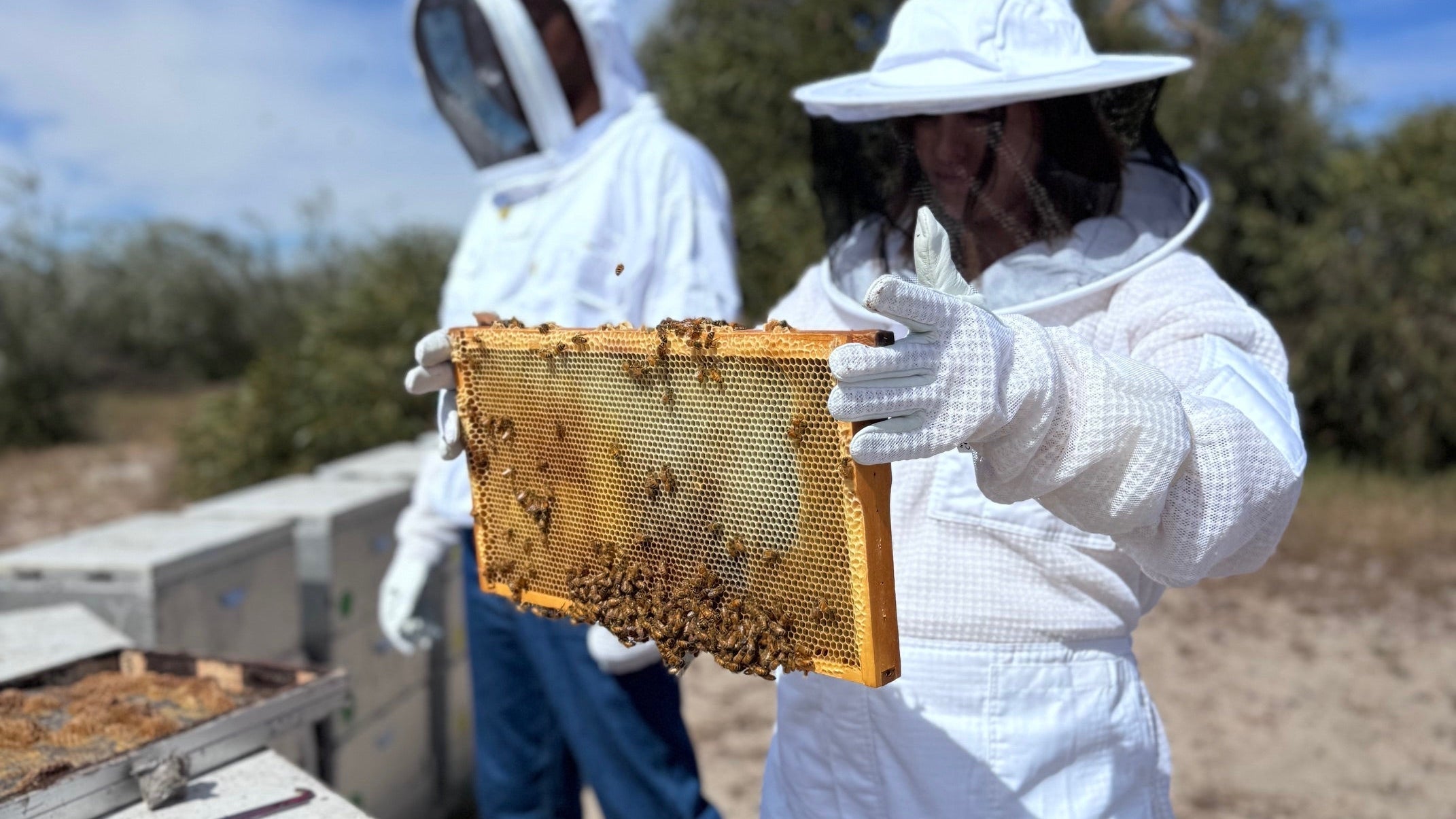 How to Store Raw Honey to Maintain Its Quality