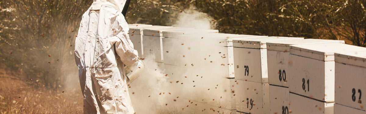 Shop Raw Australian Honey