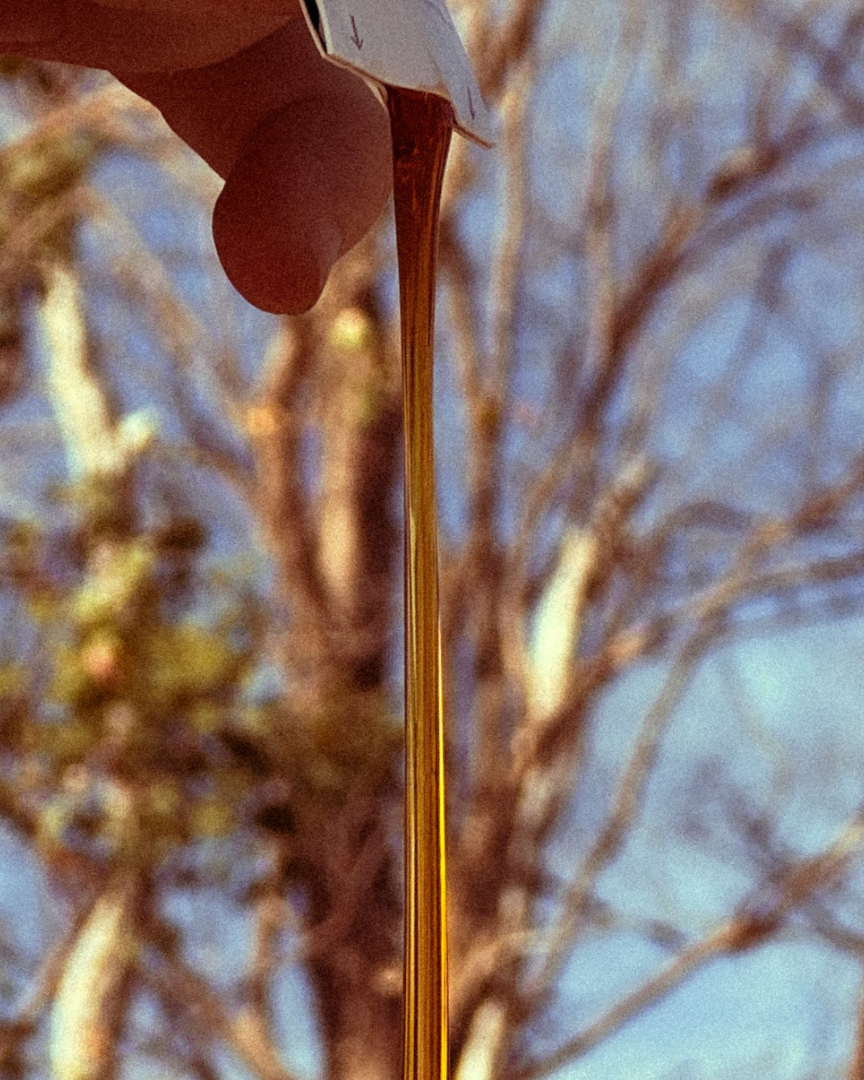 HONEY SNAPS - RAW & CONVENIENT