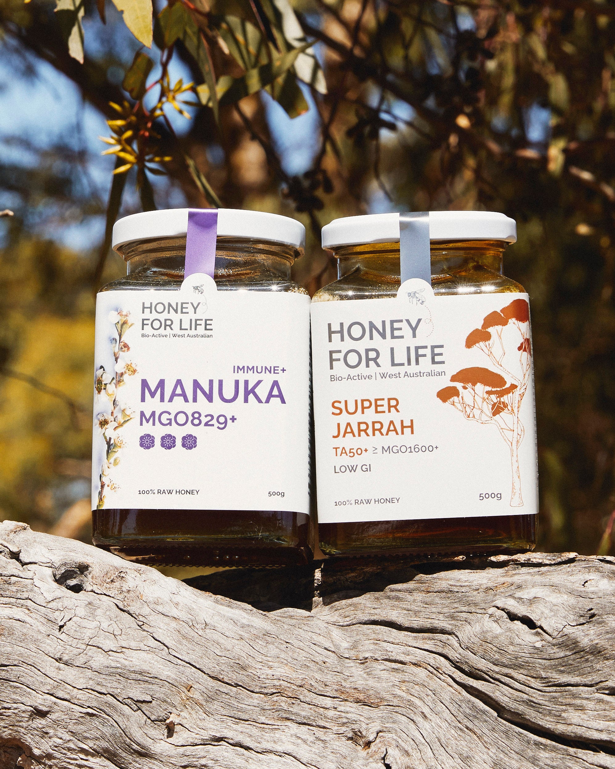THE HIGH-STRENGTH HONEY DUO 500g