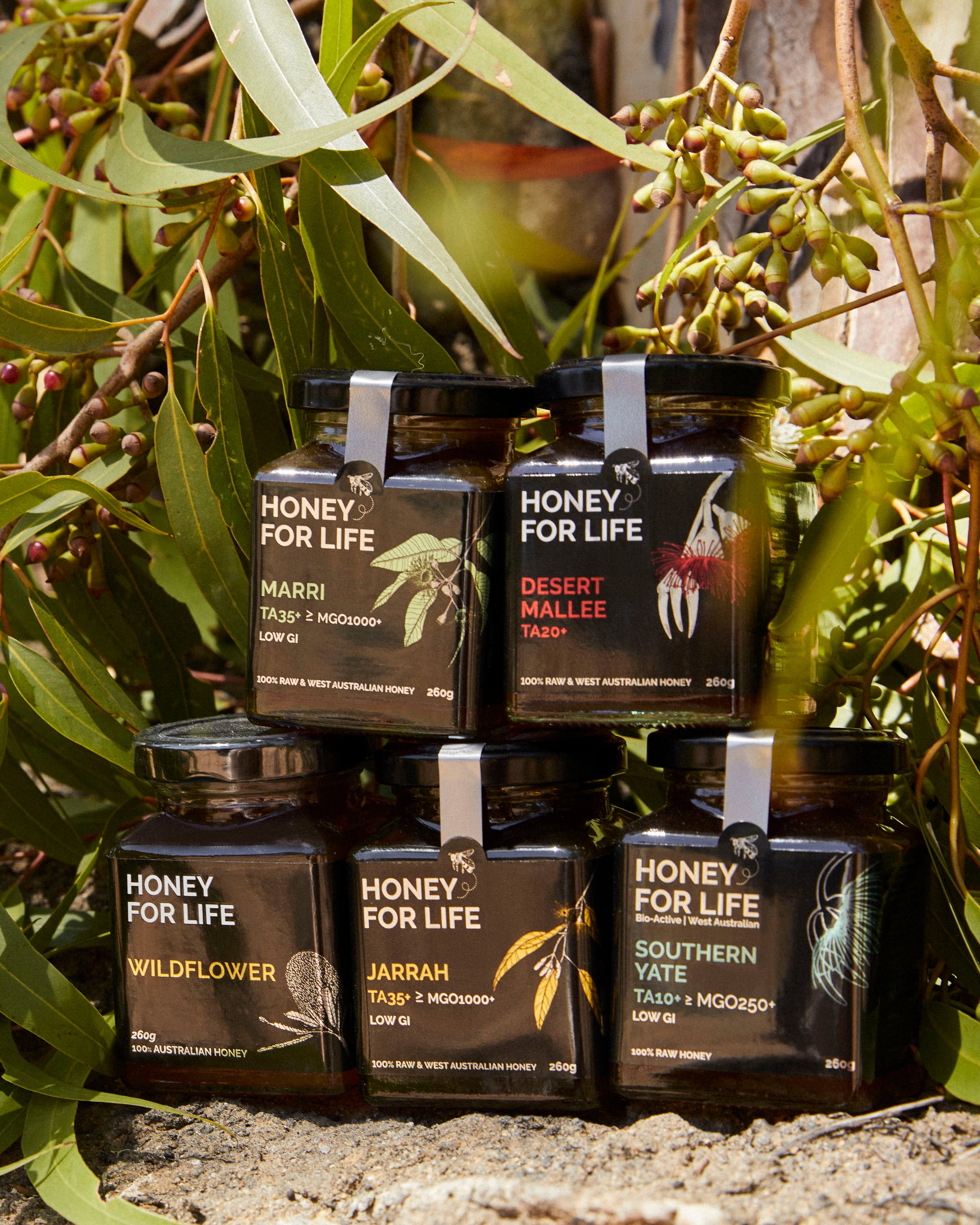 TASTE OF WESTERN AUSTRALIA HONEY BUNDLE