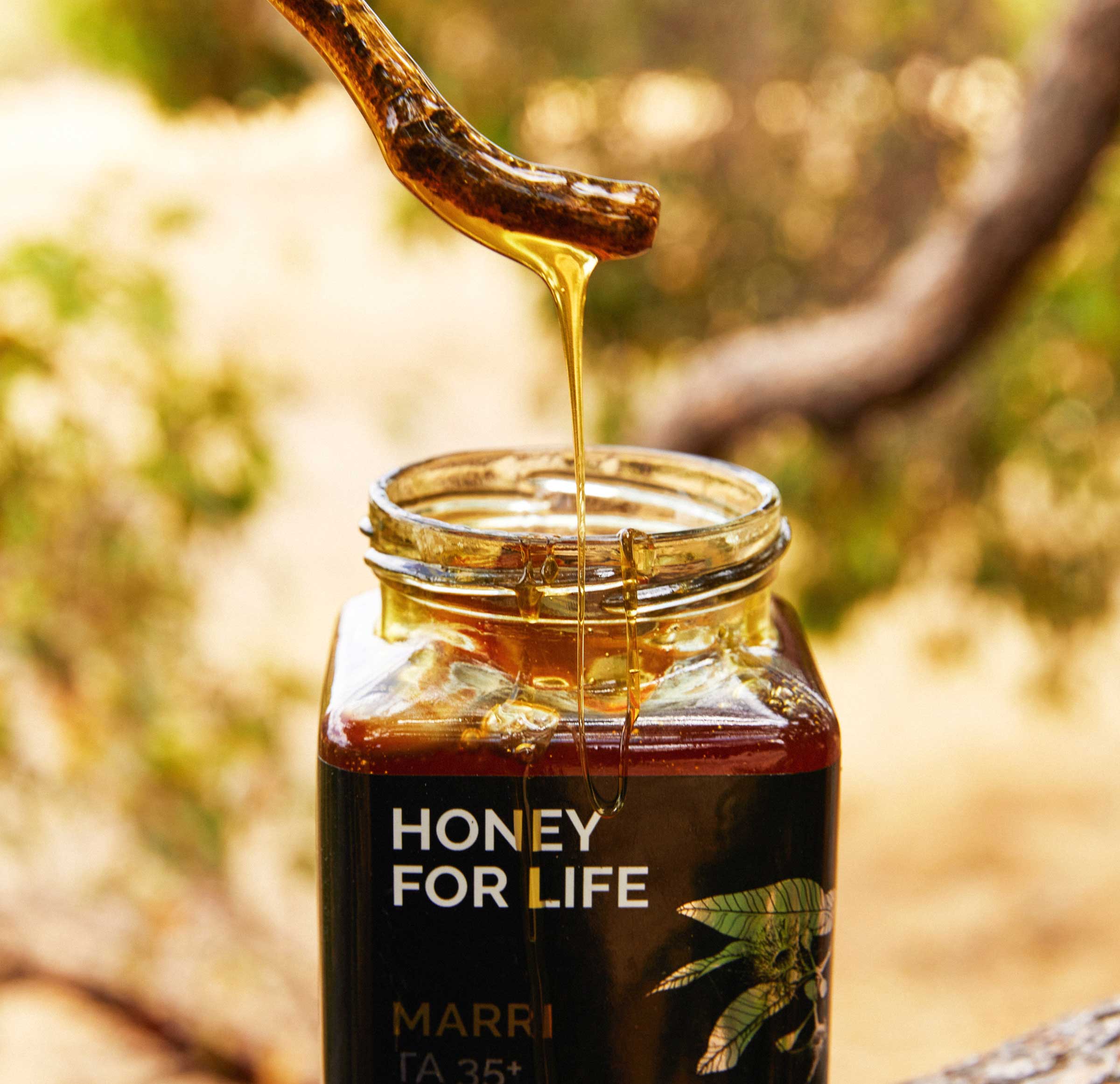 Premium Raw Honey | Shop 100% Western Australian Honey Online