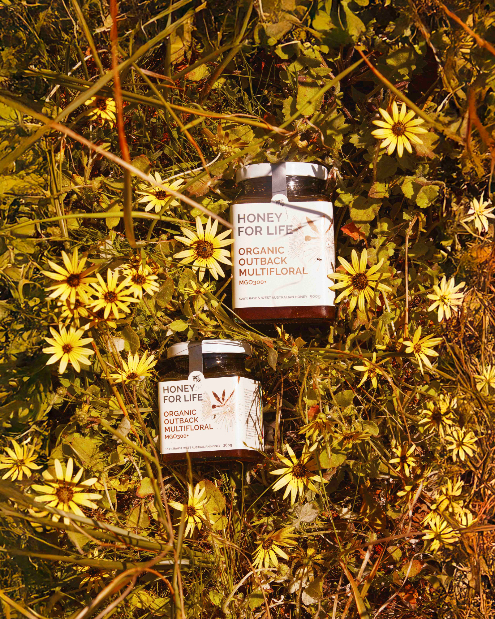 OUTBACK ORGANIC HONEY MGO300+