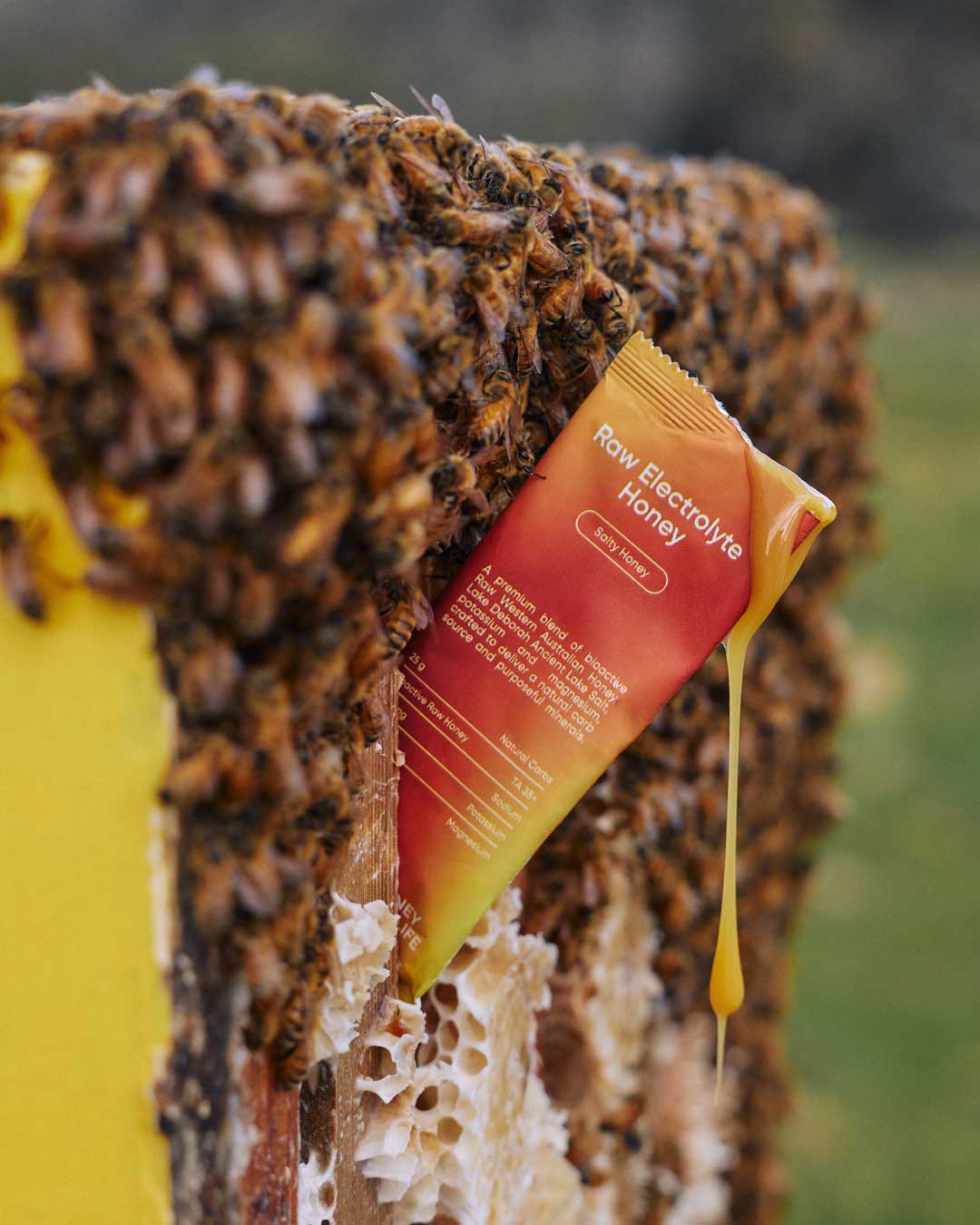 Raw Electrolyte Honey