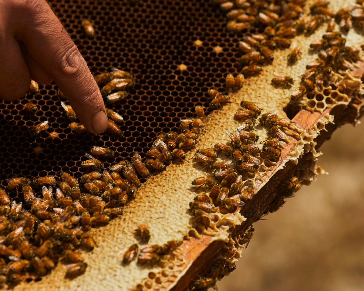 Carousel slide image