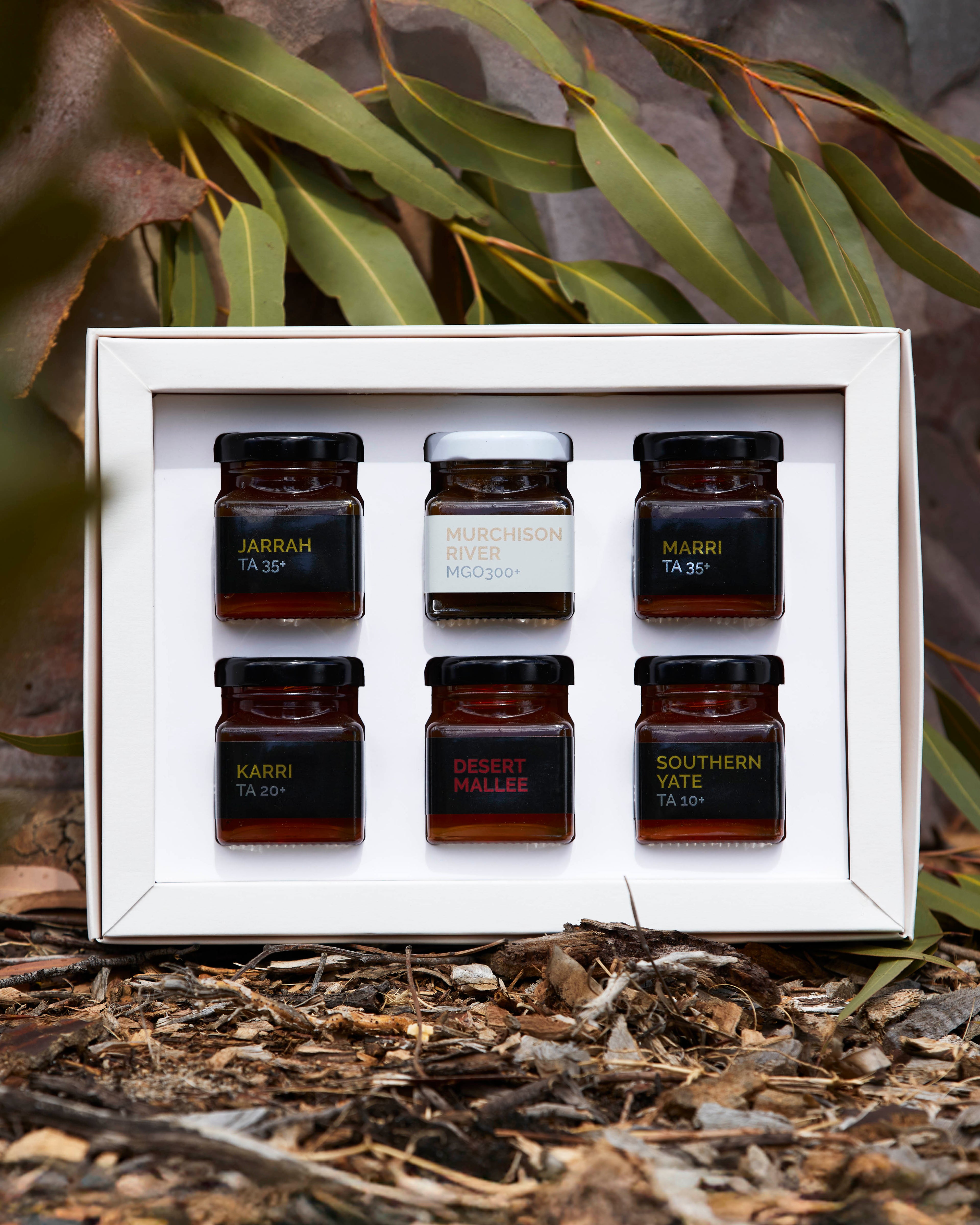 Set of six small jars with labels in a white box, surrounded by natural elements.