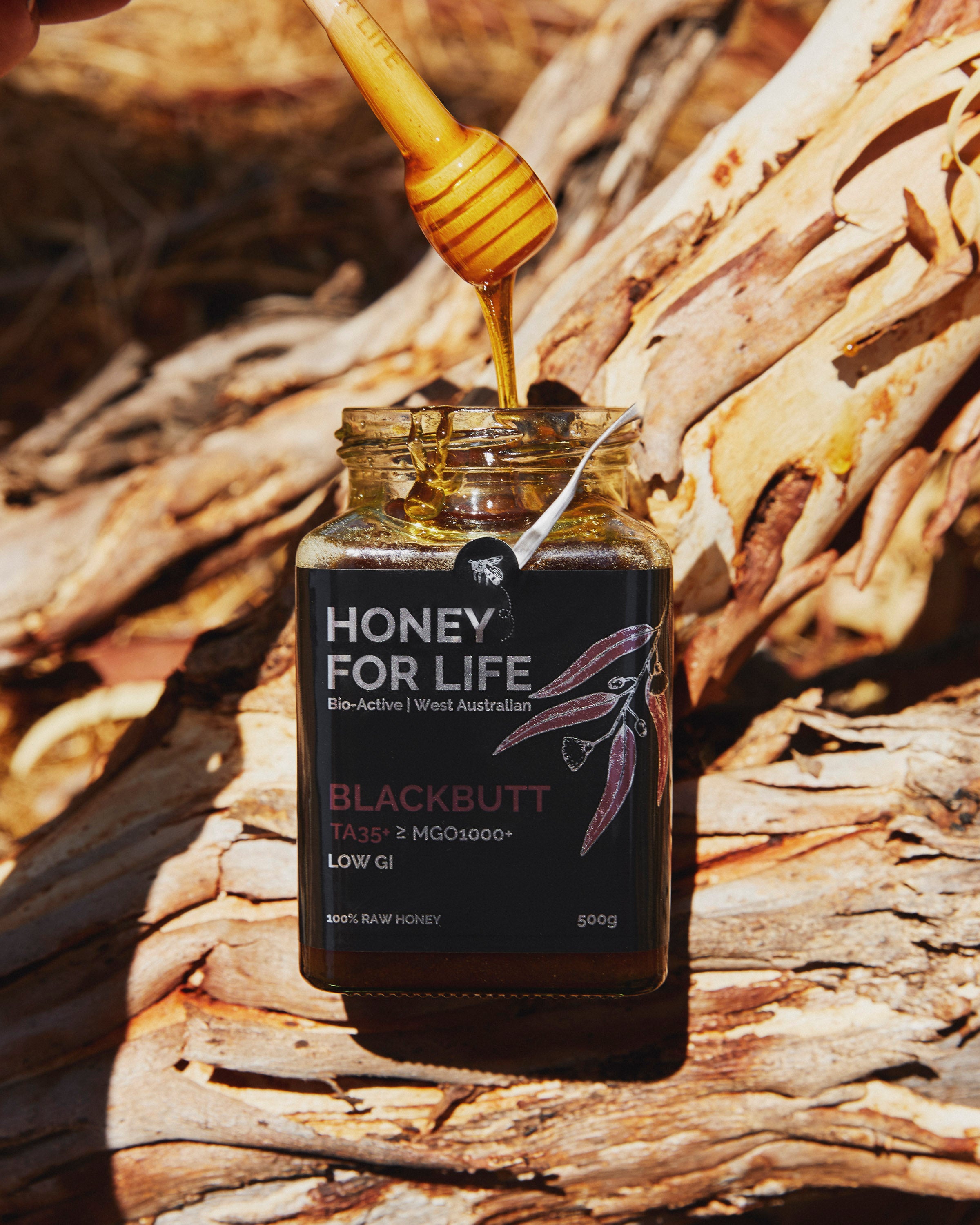 BLACKBUTT ACTIVE HONEY TA35+