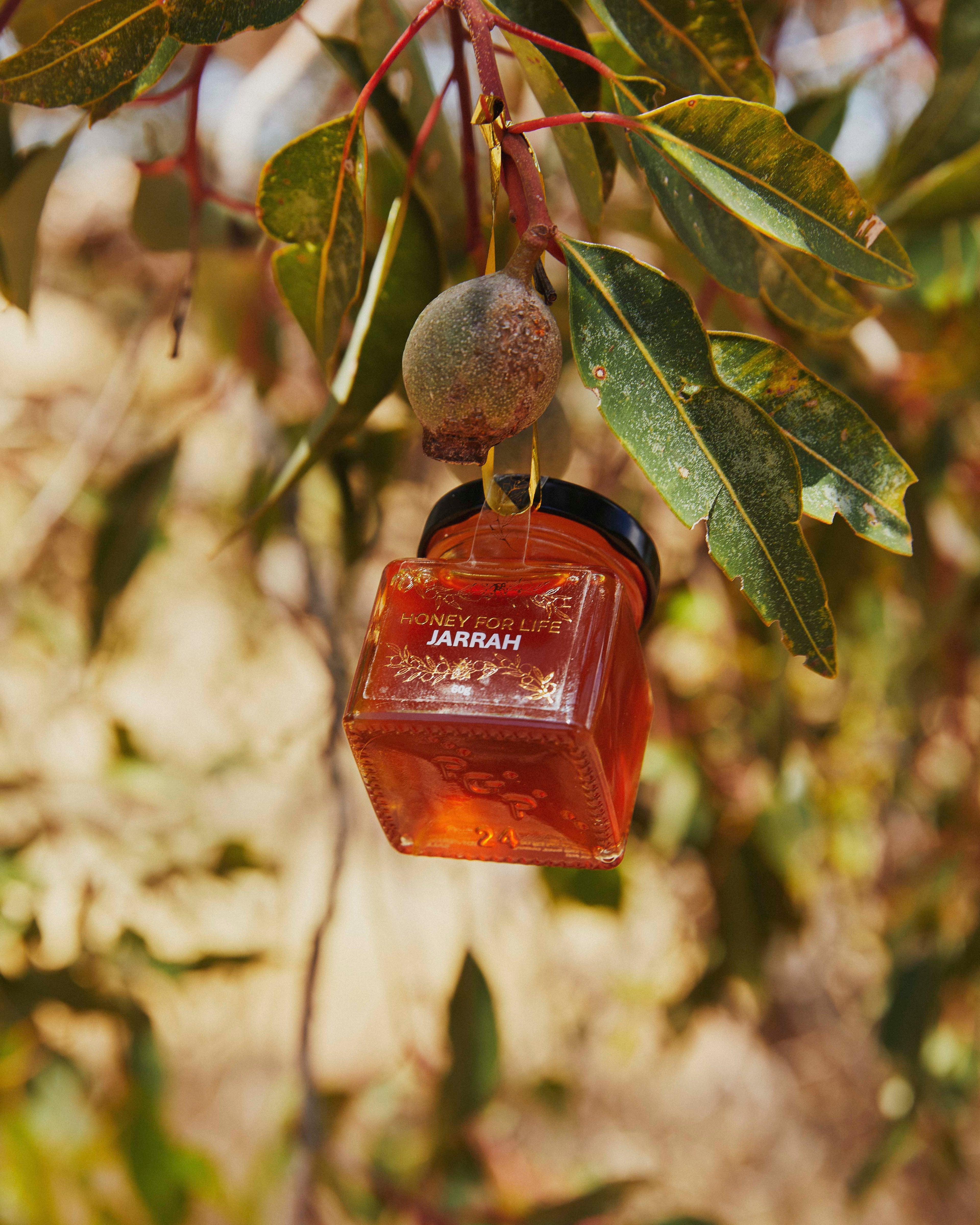 Christmas Bauble Beekeepers Reserve