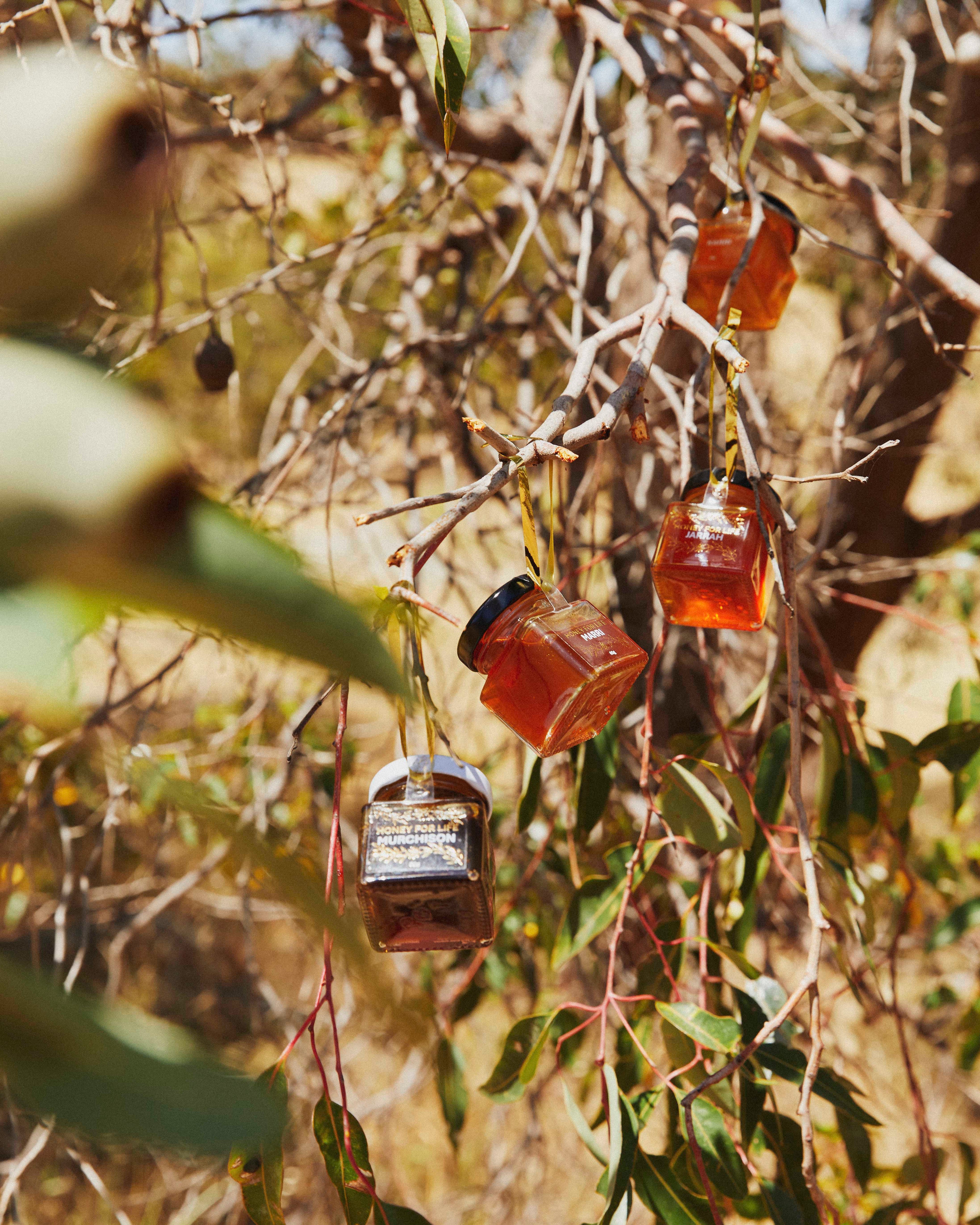 Hanging glass jars with amber liquid on a tree branch