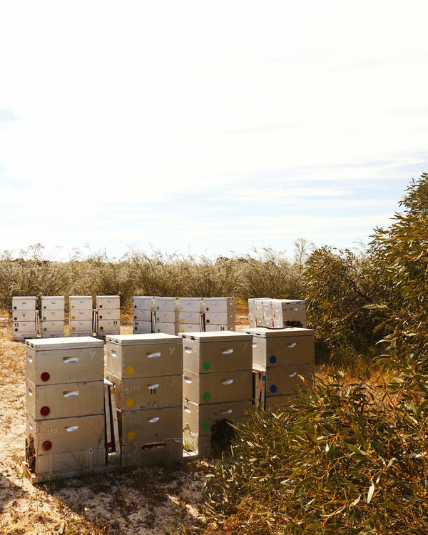 Honey For Life Gift Card