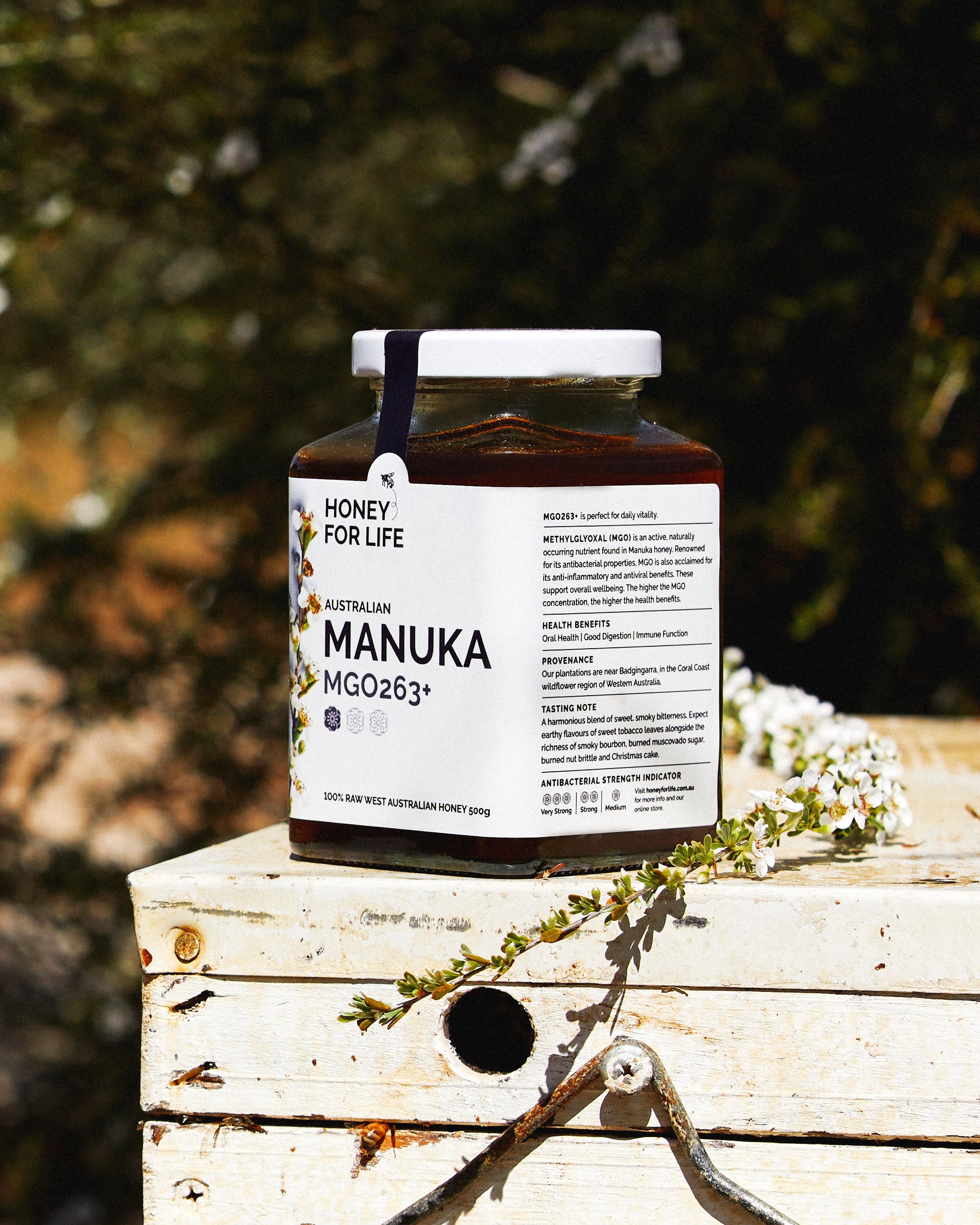 MANUKA DAILY+ HONEY MGO263+