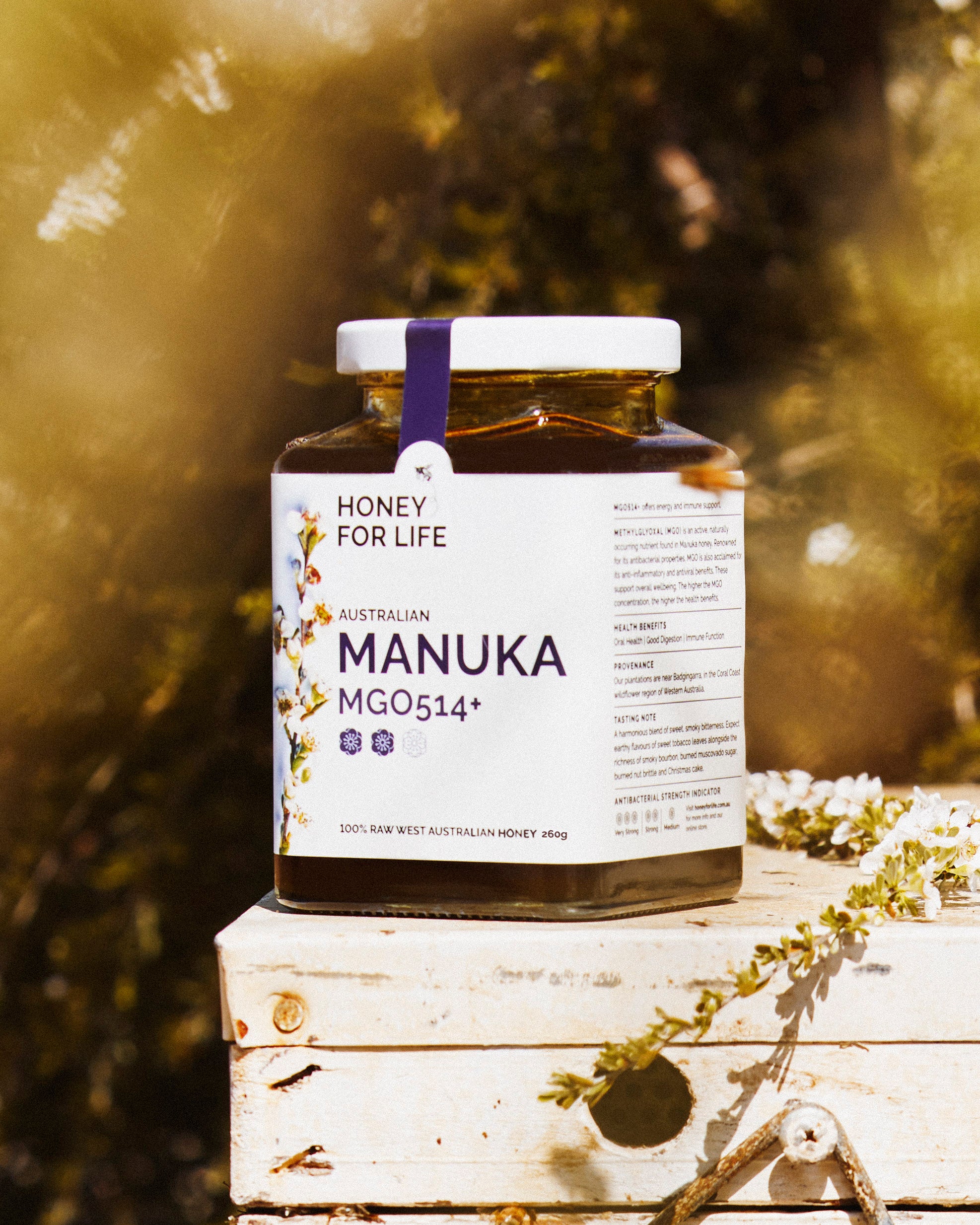MANUKA WELLNESS+ HONEY MGO514+