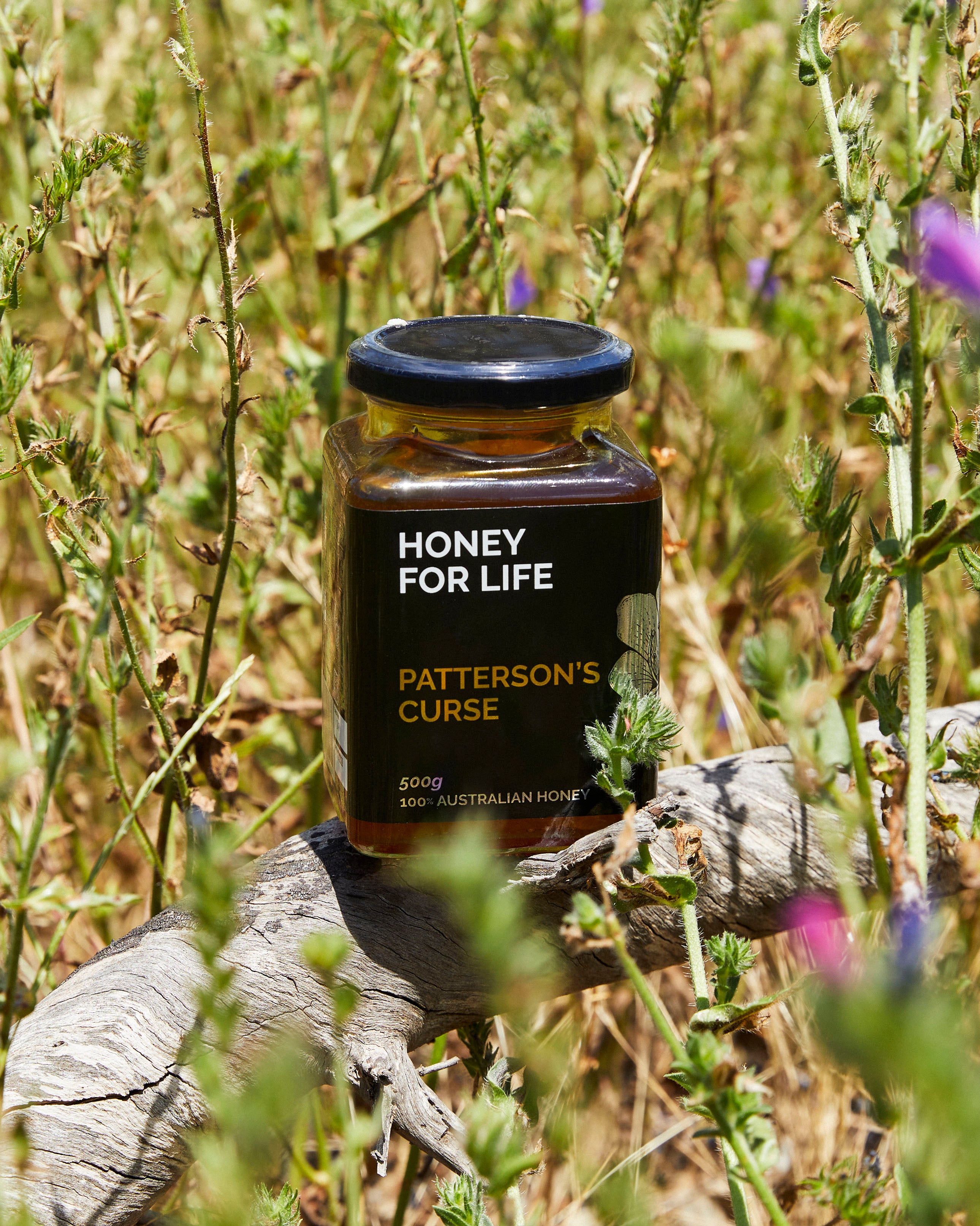 Patterson's Curse Honey