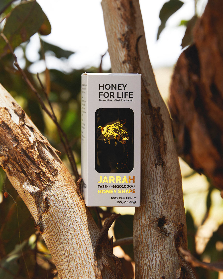 HONEY SNAPS 10 PACK 10G