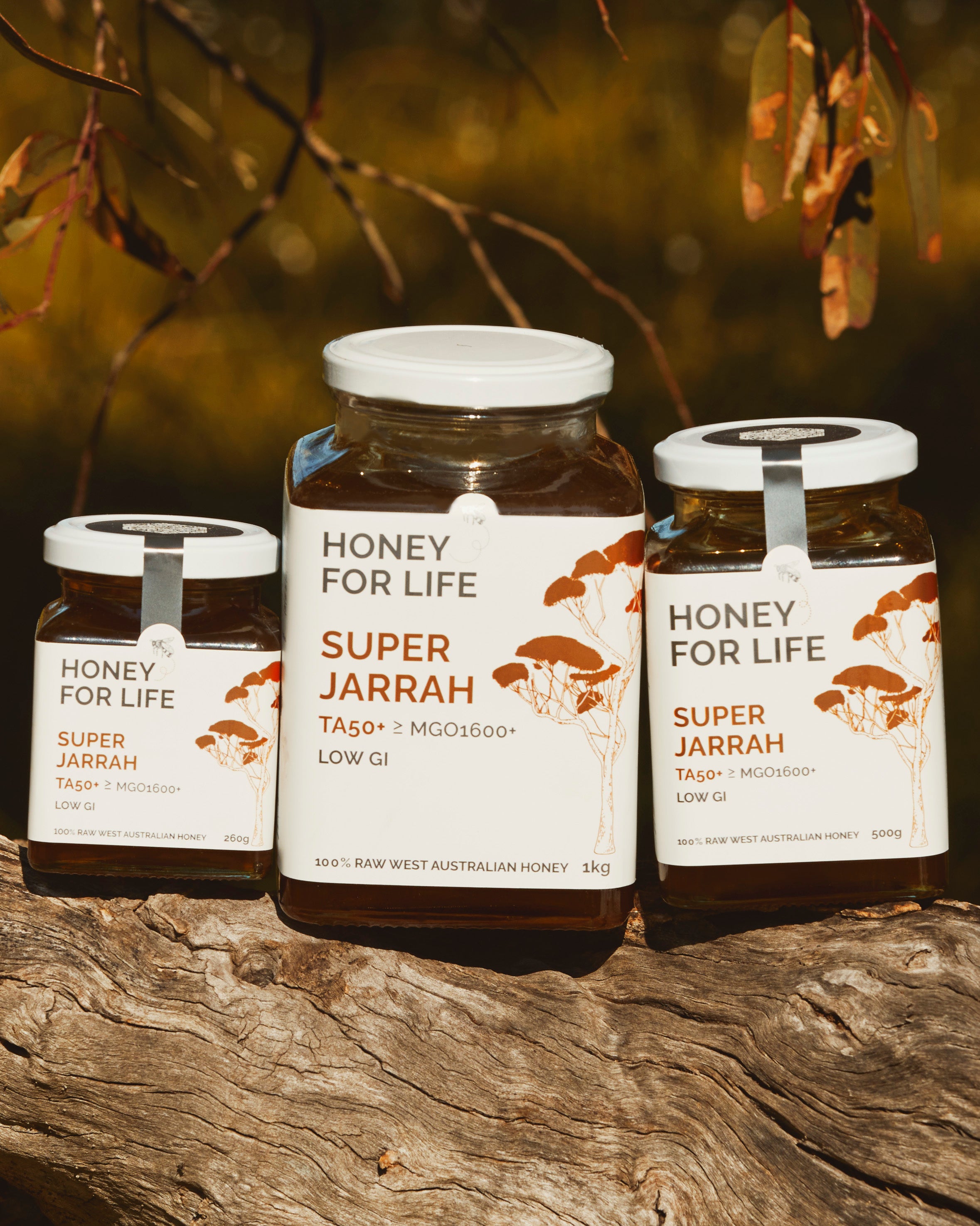 Super Active Honey | Buy TA50 Honey and MGO829 rated honey