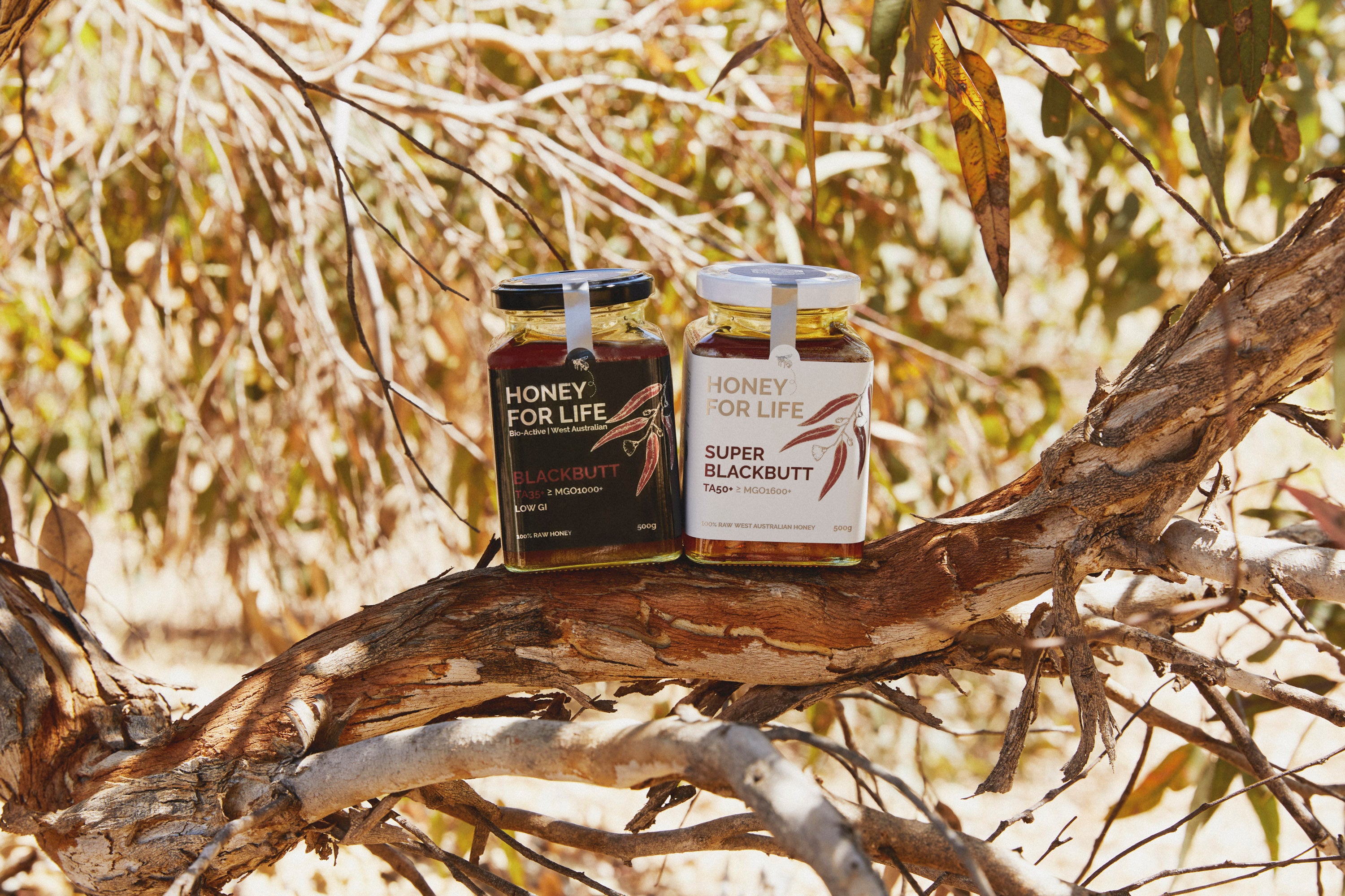 その他 HONEY FOR LIFE BLACKBUTT 260g HFL Blackbutt 260g ブラックバット | はちみつと米粉のhanamaru