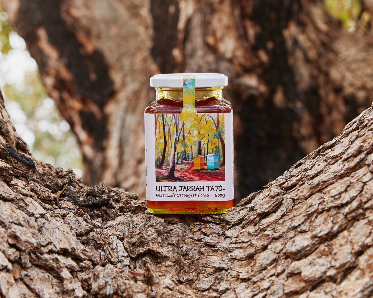 Jar of honey with a label on a tree trunk