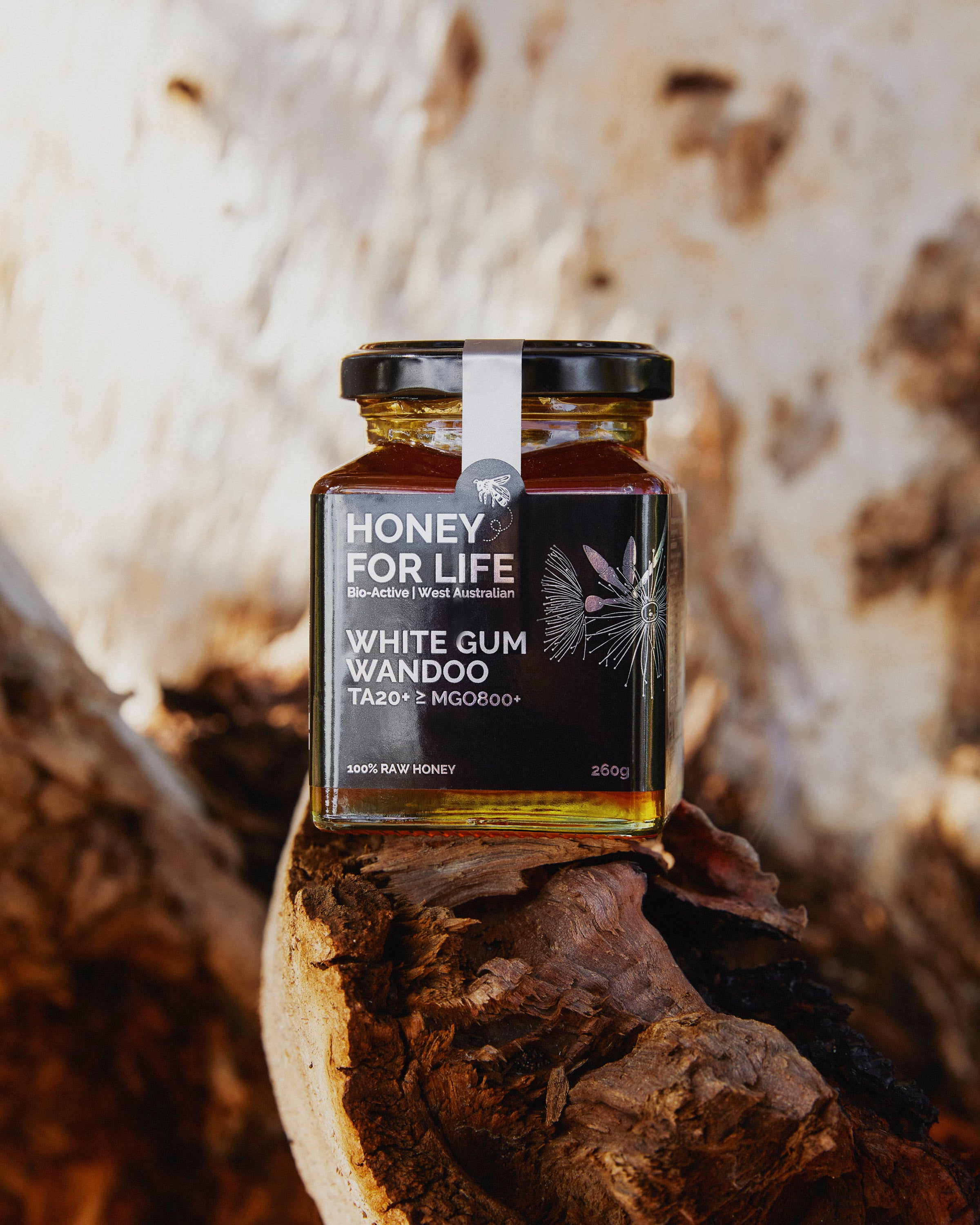 WHITE GUM WANDOO HONEY TA20+
