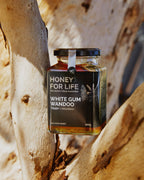 WHITE GUM WANDOO HONEY TA20+