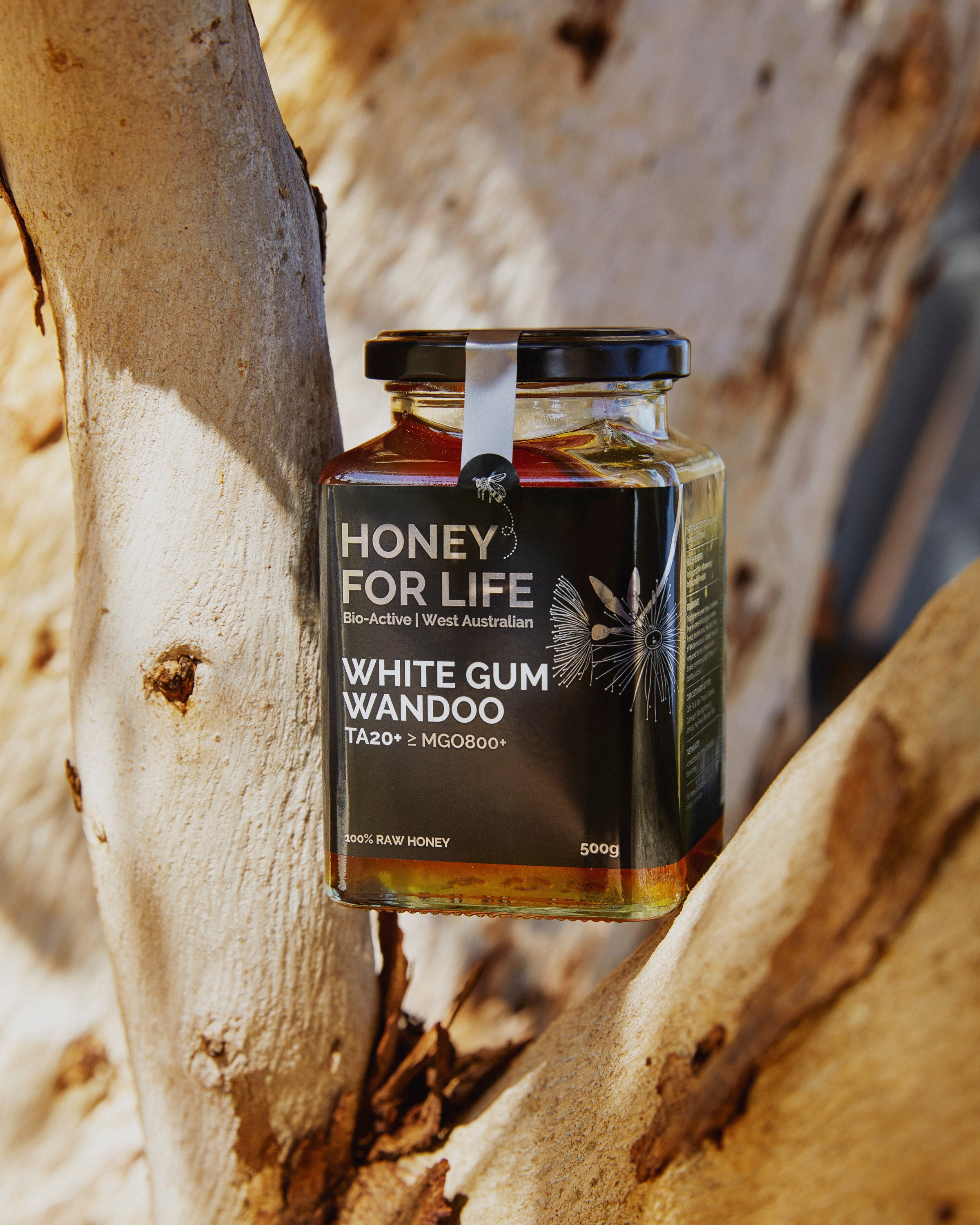 WHITE GUM WANDOO HONEY TA20+