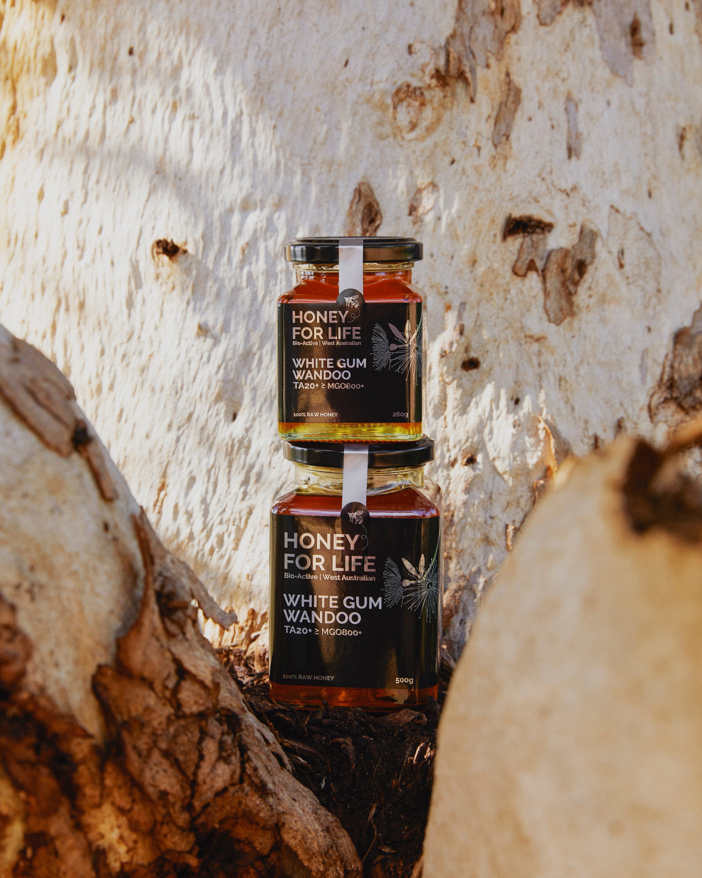 WHITE GUM WANDOO HONEY TA20+