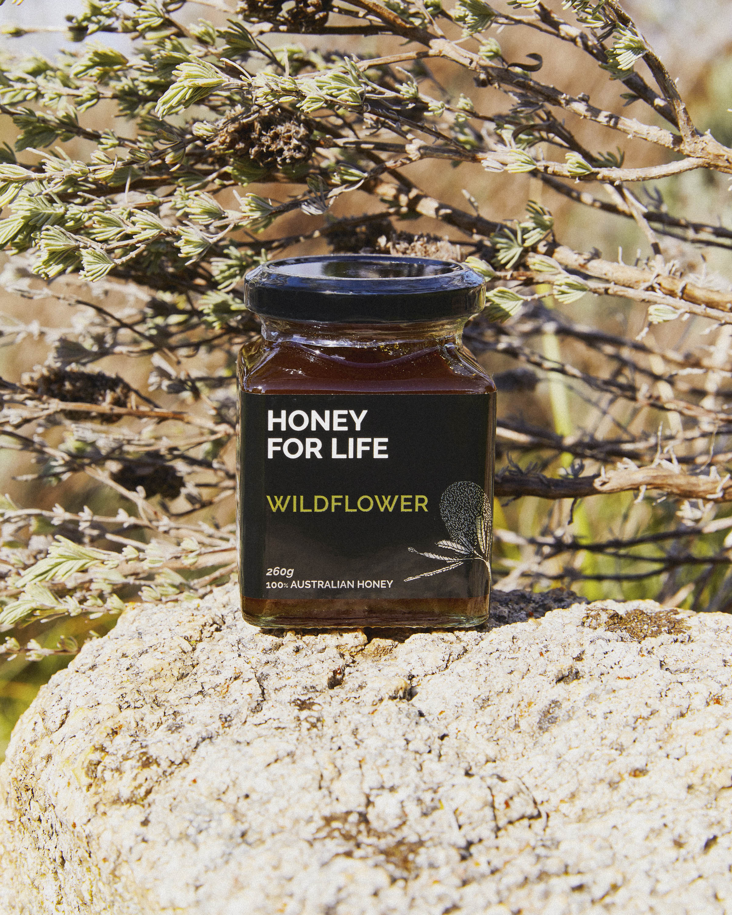WILDFLOWER HONEY
