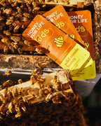 Honey For Life Kids - Wild Aussie Honey Snaps (TA 10+)