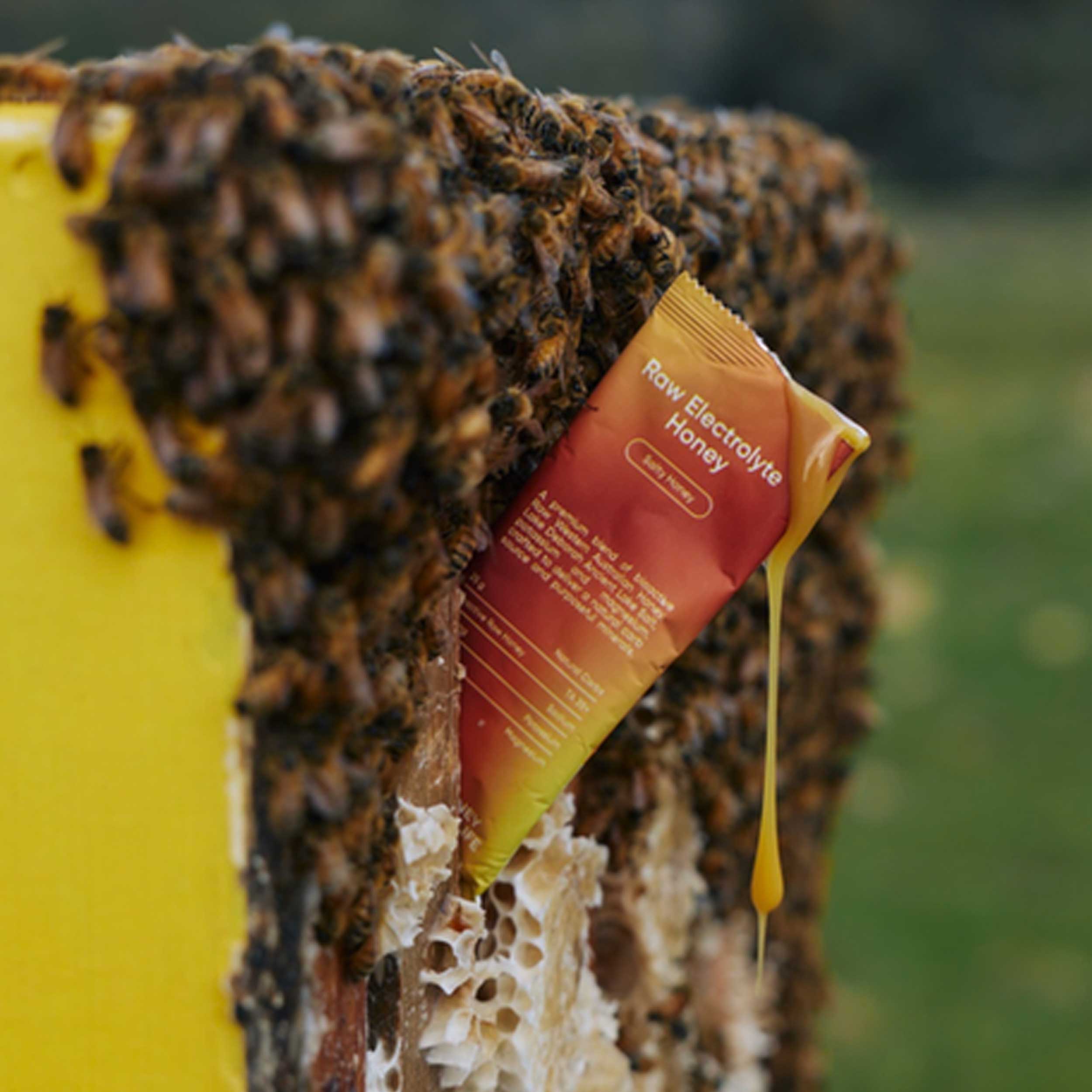 Raw Electrolyte Honey