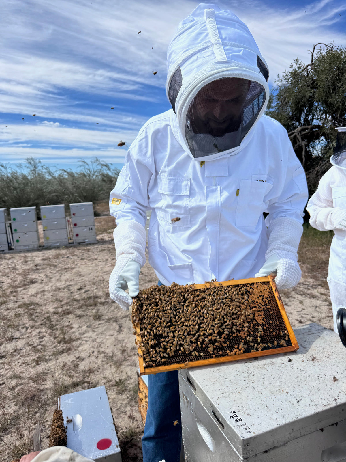 Carousel slide image