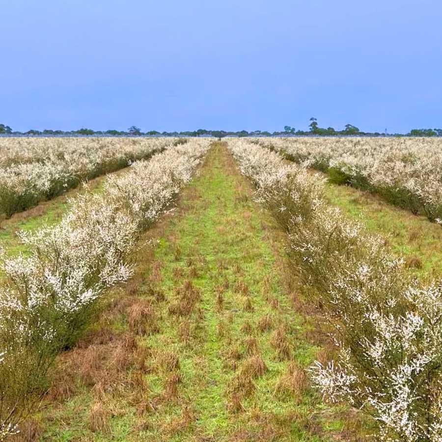 Carousel slide image