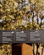 HONEY FOR HEALTH PACK