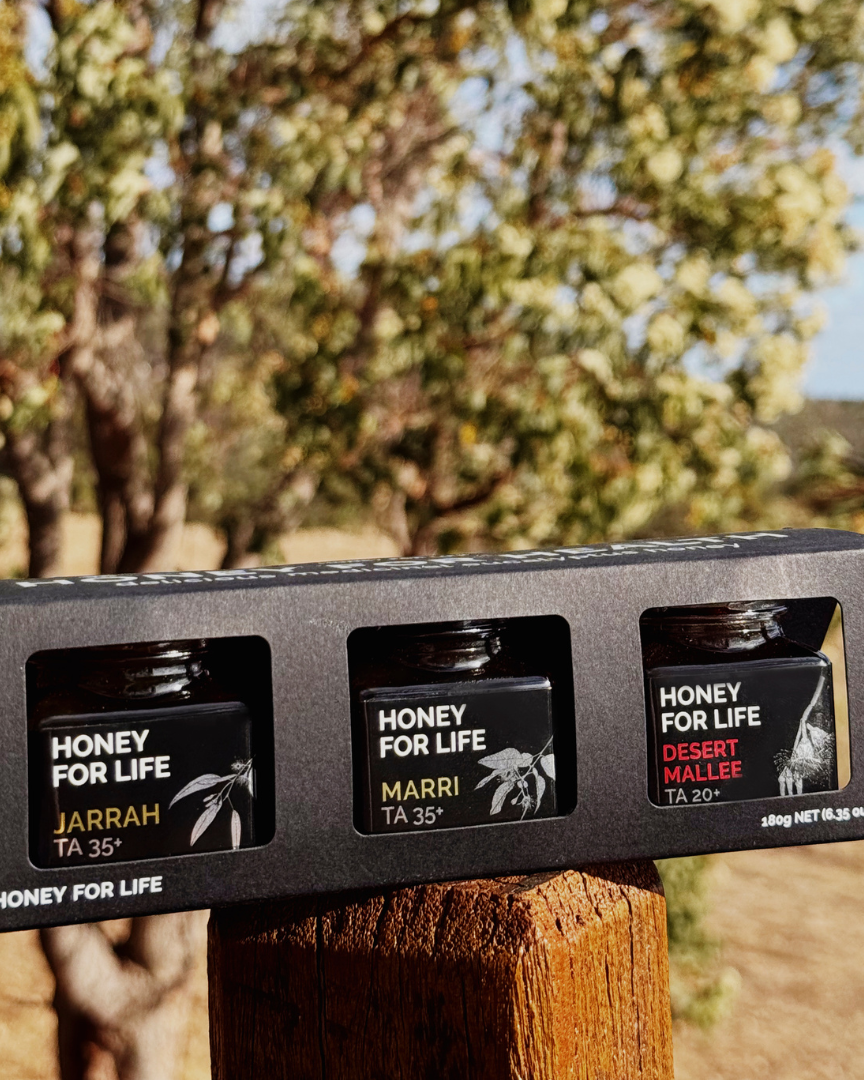 A packaged set of three honey jars labeled as HONEY FOR LIFE, with the honey variants named after different types of Australian eucalyptus trees.