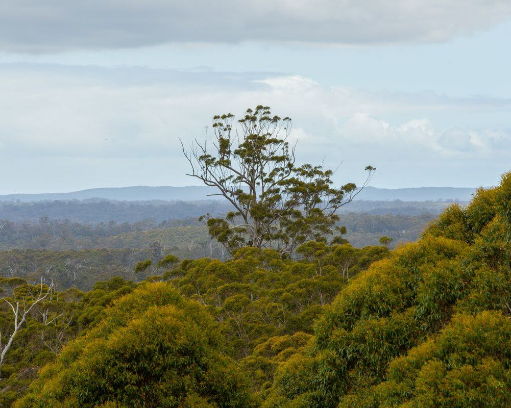 Carousel slide image