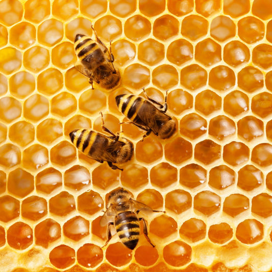 At Honey For Life we produce high-quality, pure beeswax 