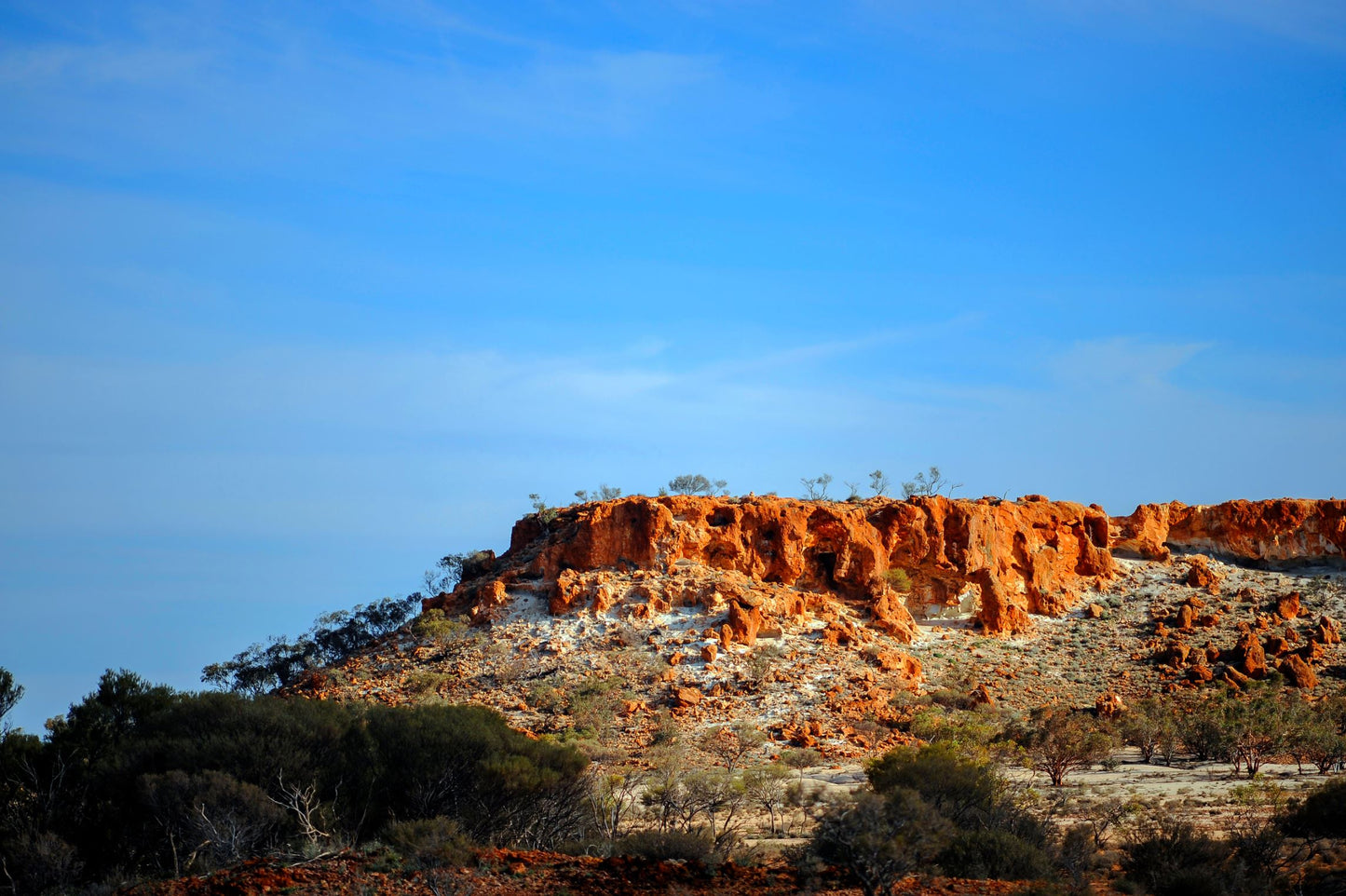 DESERT MALLEE HONEY TA20+