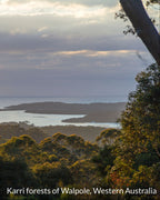 Scenic view of Karri forests with a lake and sky in the background, labeled 'Karri forests of Walpole, Western Australia'.