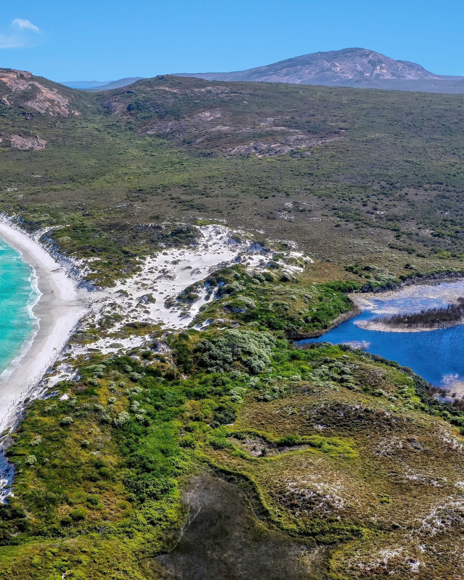 SOUTHERN YATE HONEY TA10+