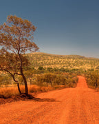 Red dirt road flanked by trees in a desert landscape under a clear blue sky.
