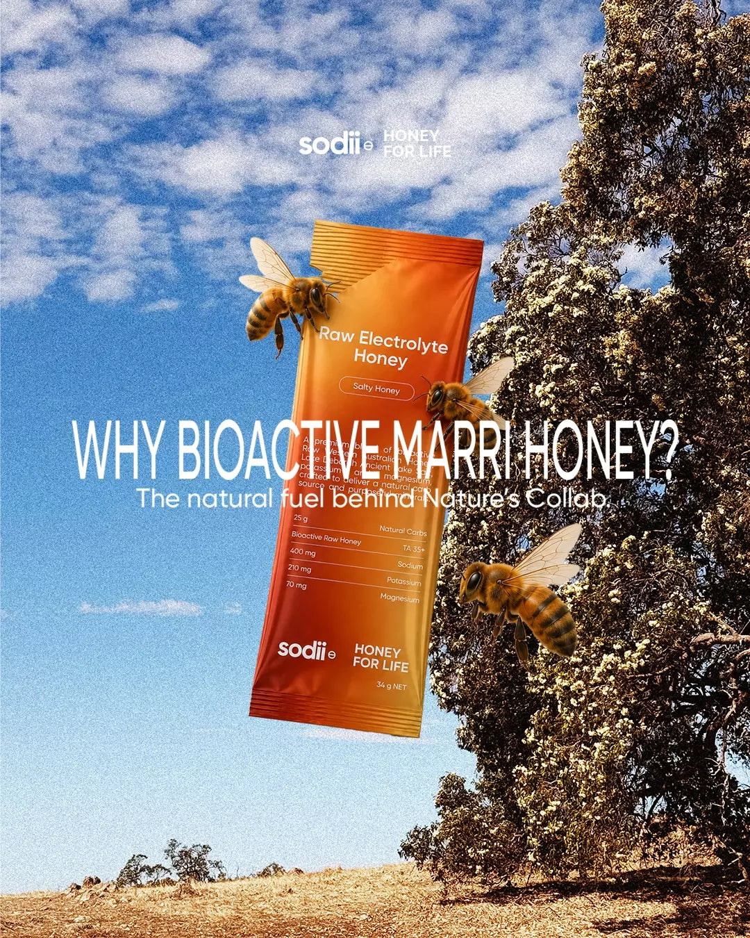 Bioactive TA35+ Marri Honey Nature’s Collab explainer